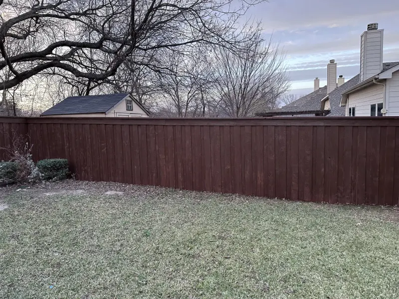 Backyard fence stain