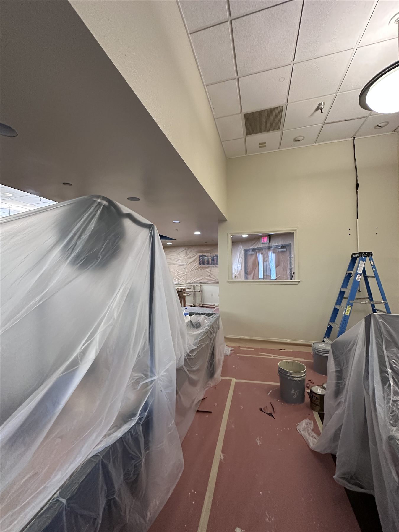 Ceiling tile replacement for office space in Fort Worth